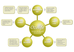 aceite de ozono beneficios