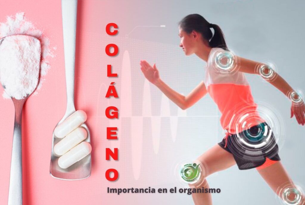 colageno
