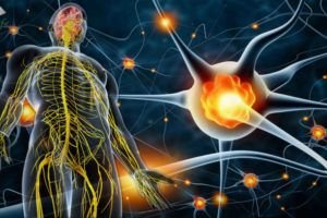 Lee más sobre el artículo Cuidado Integral de los Nervios: Guía Completa