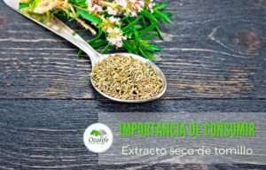 Lee más sobre el artículo Extracto Seco de Tomillo | Aplicaciones para la Salud