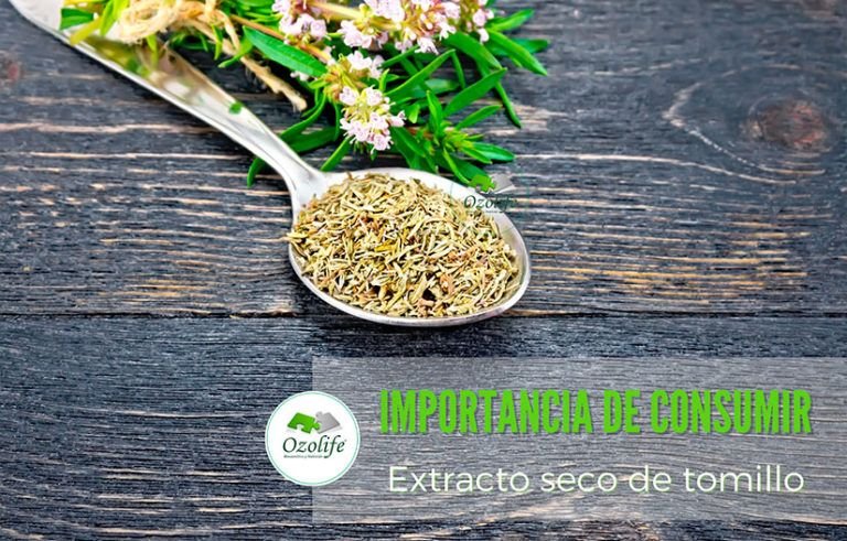 extracto-seco-de-tomillo-indicaciones
