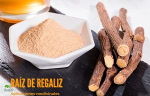 Lee más sobre el artículo Raíz del Regaliz | Propiedades Medicinales