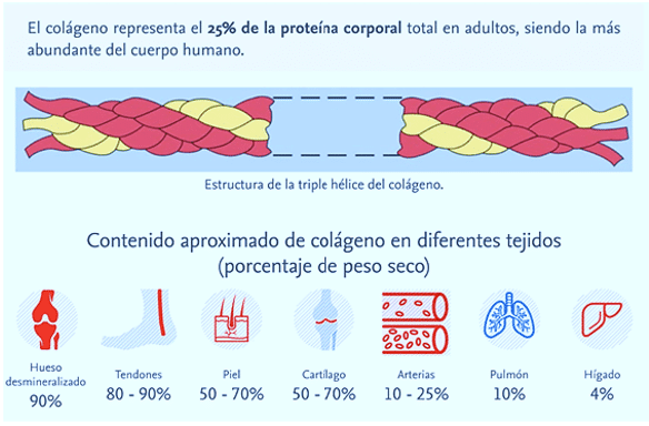 suplementos de colágeno