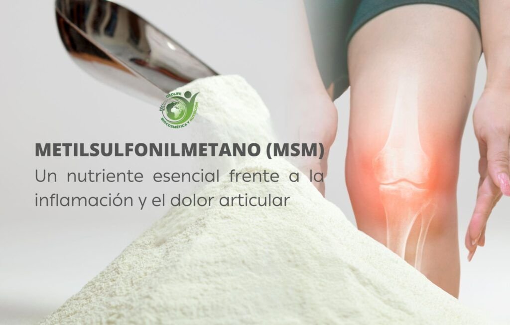 metilsulfonilmetano (MSM)