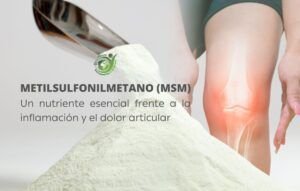 Lee más sobre el artículo Metilsulfonilmetano (MSM), 3 beneficios relevantes frente a la inflamación