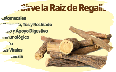Raíz del Regaliz
