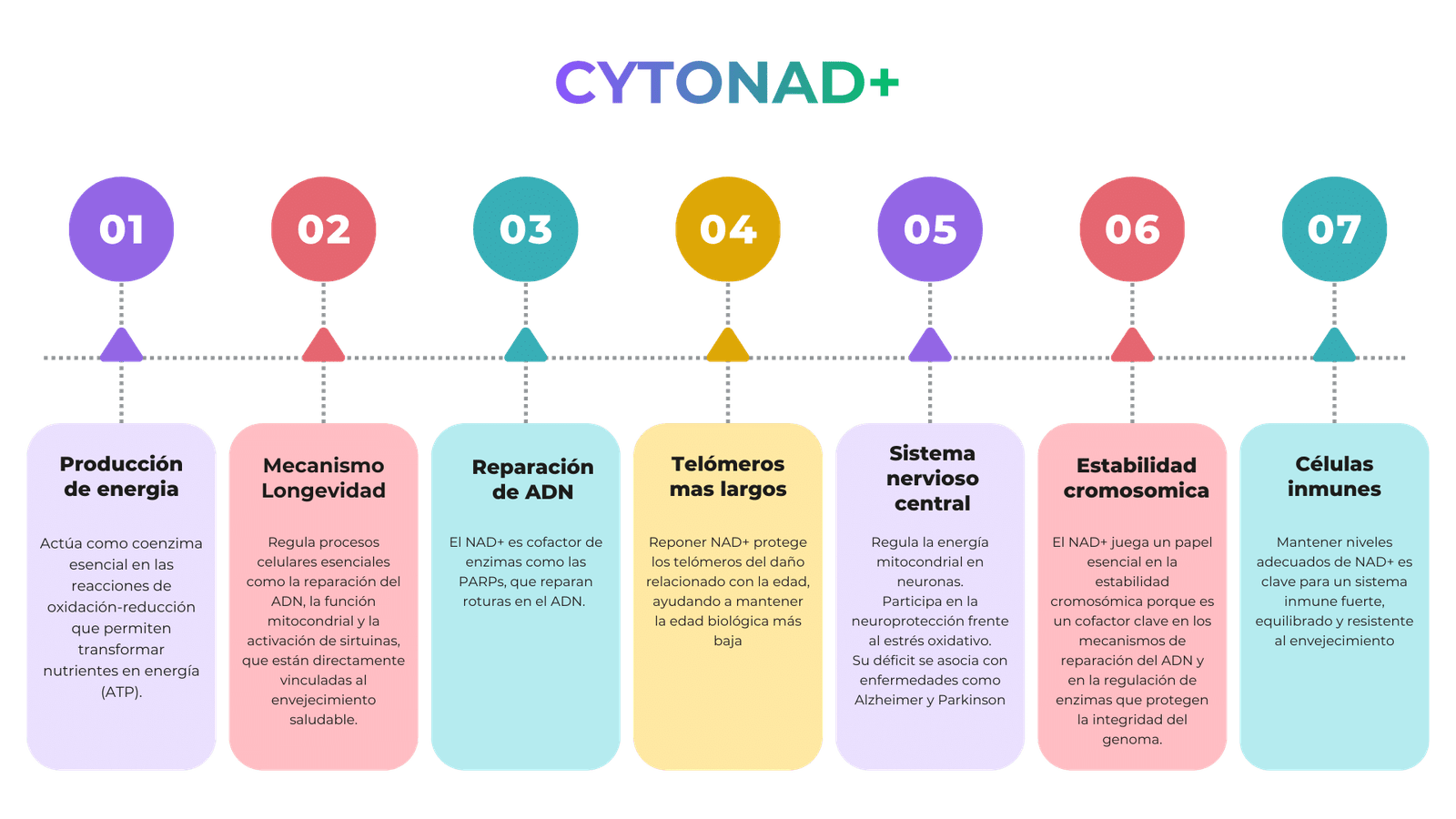 CYTONAD+ suplementos con NAD+ para energía celular y longevidad – Laboratorios OzoLife